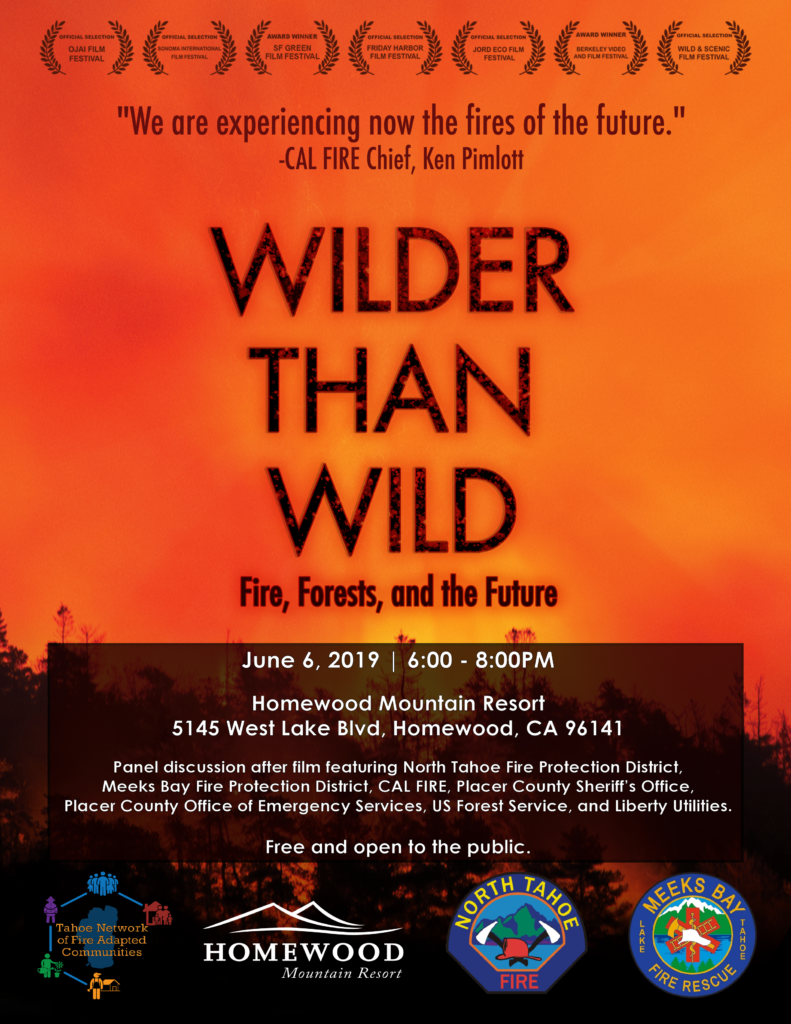 Wilder Than Wild film poster