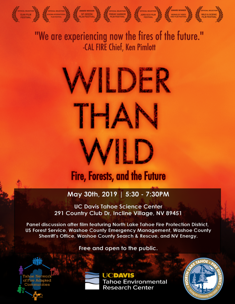 Wilder Than Wild film poster